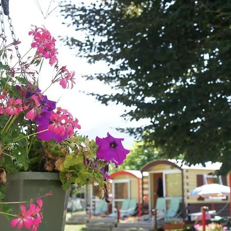 Camping Le Verger Fleuri Campingplads 2*