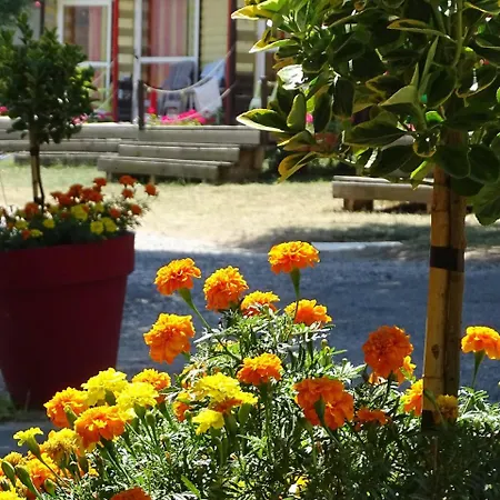 Camping Camping Le Verger Fleuri